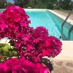 Siena Bio Private Pool San Rocco a Pilli