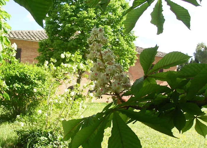 Siena Bio Private Pool * San Rocco a Pilli