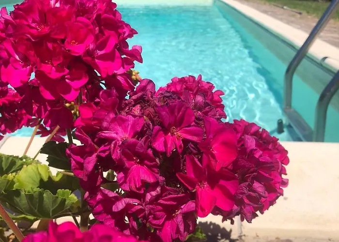Siena Bio Private Pool San Rocco a Pilli